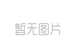 保险基金将大力增加其对高分化资产的持股，银